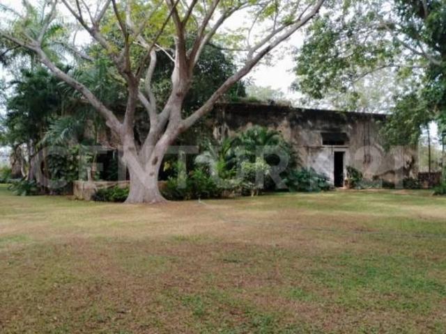 Hacienda en Venta en Conkal, Yucatán