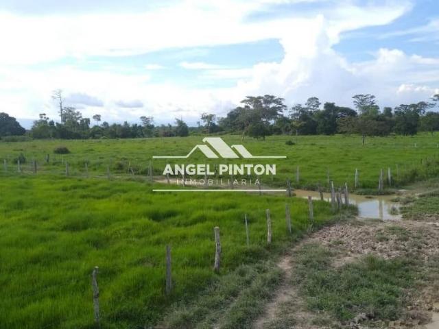 Finca en venta en Machiques De Perijá, Zulia