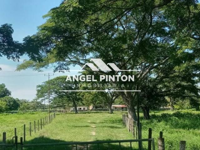 Finca en venta en Machiques De Perijá, Zulia