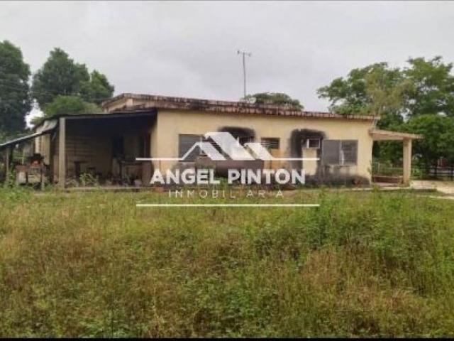 Finca en venta en Machiques De Perijá, Zulia