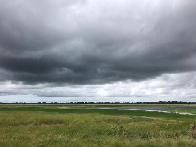 Finca en venta en San Fernando, Apure