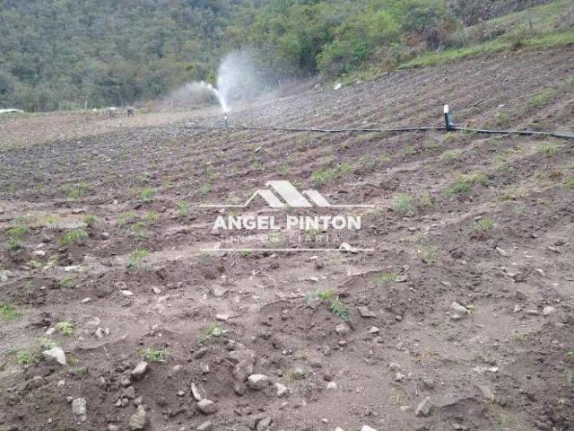 Finca en venta en Trujillo