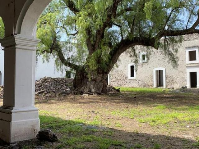 Hacienda en Venta HACIENDA MONTENEGRO