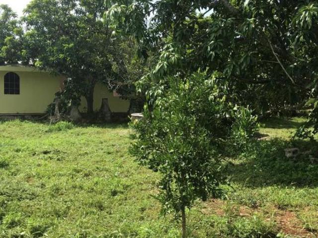 Hacienda en venta/renta en San Antonio Tehuitz, Yucatán