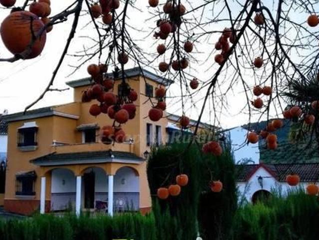 Casa en alquiler en Priego De Córdoba, Andalucía