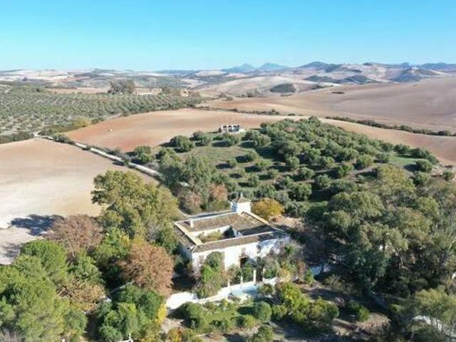 Casa en alquiler en Montellano