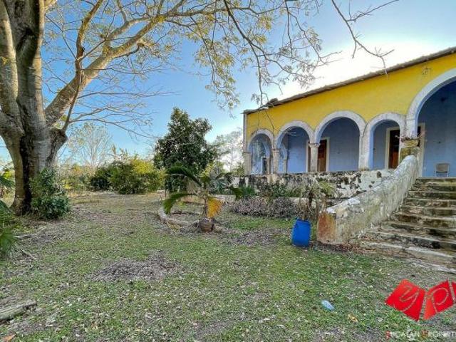 Hacienda Santa Isabel Cerca Izamal
