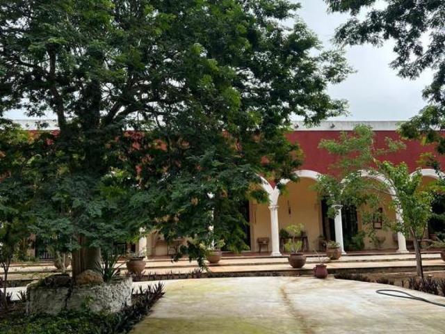 HACIENDA SANTA MARIA DE BATZAN. Kinchil Umán, KM 4, Samahil, Yuc
