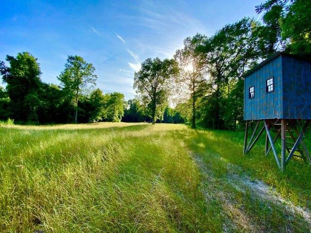 Land for sale in Leakesville, Mississippi