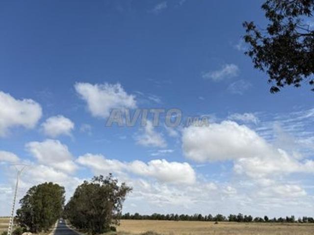 Propriété vente à El Ma, Gharb-Chrarda-Beni Hssen