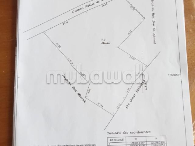 Terrain vente à Essaouira, L'Oriental