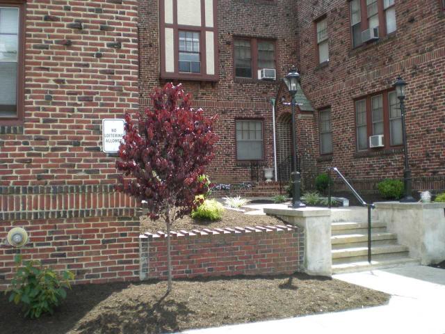 Apartment for rent in Haddon Heights Apartment for rent in Haddon Heights