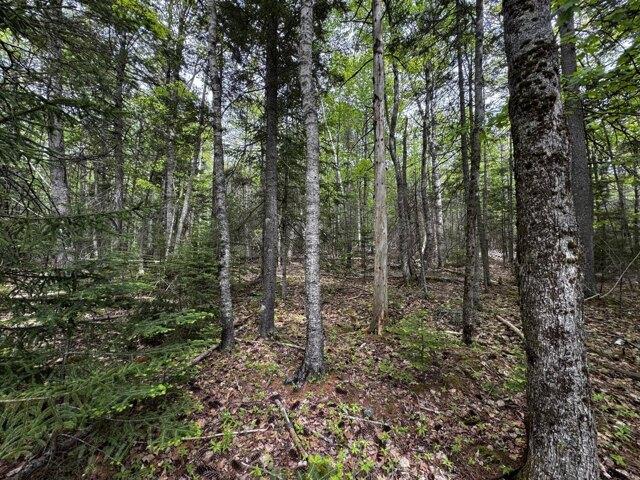 Land for sale in Eden, Bar Harbor