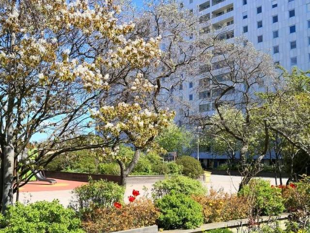 Lägenhet hyra i Solna, Stockholm