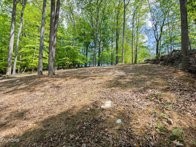 Land for sale in Tennessee
