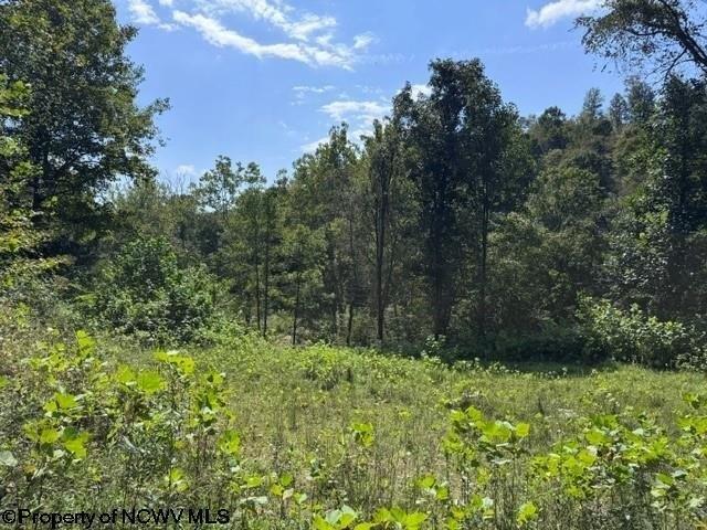 Land for sale in Rivesville, Marion County