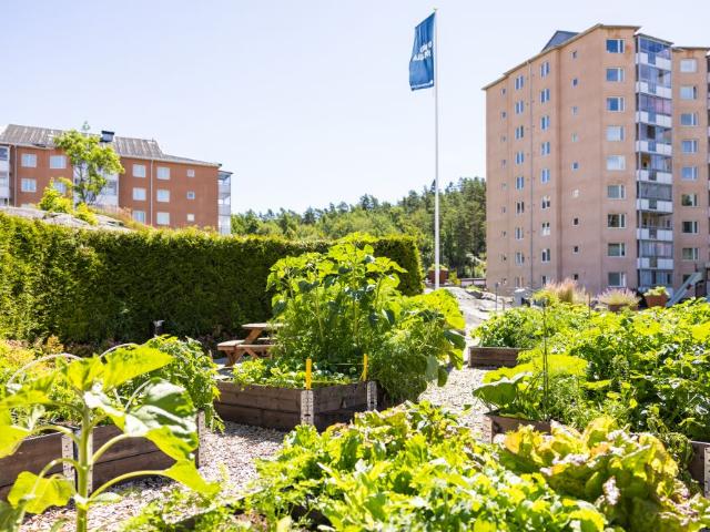 Lägenhet hyra i Uddevalla, Västra Götaland