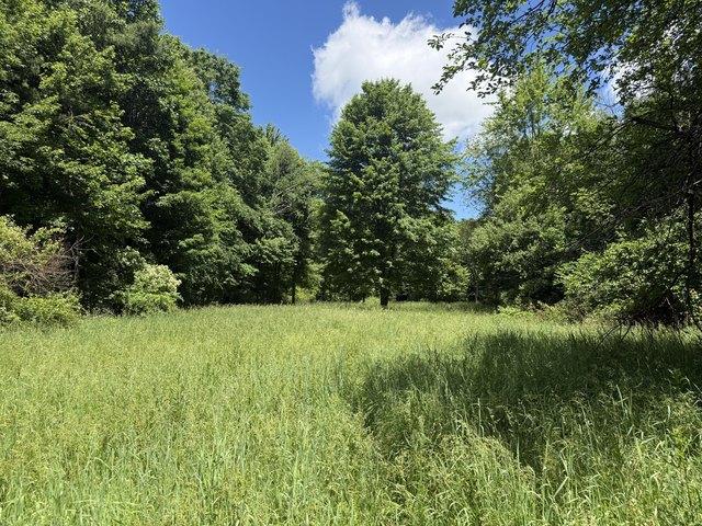 Land for sale in Michigan