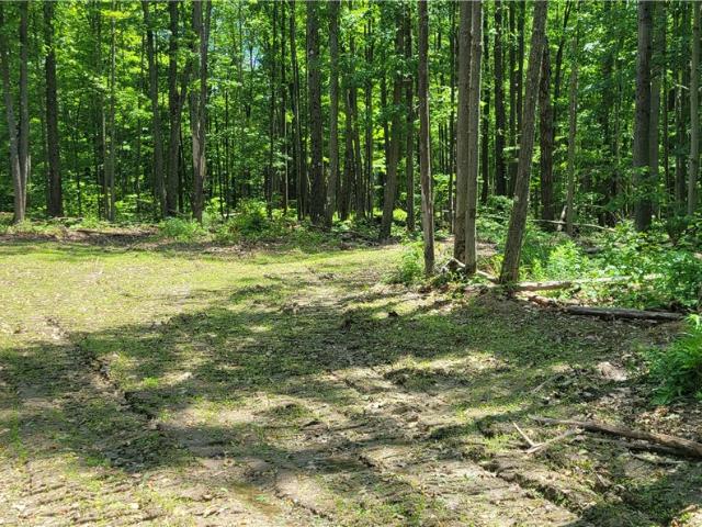 Land for sale in Chemung, New York