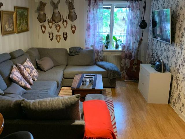 Lägenhet hyra i Dalarna