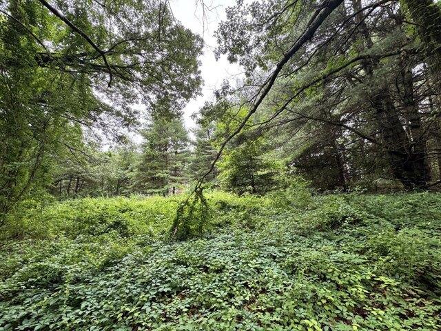 Land for sale in Haggetts, Andover