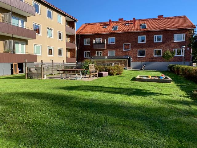 Lägenhet hyra i Umeå, Västerbotten