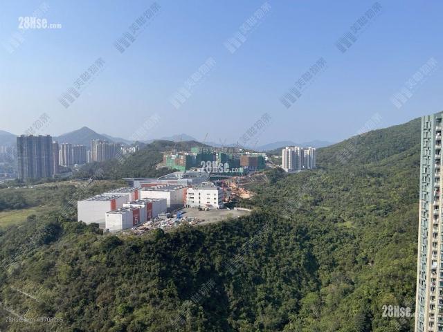 提供 出售 的物件。