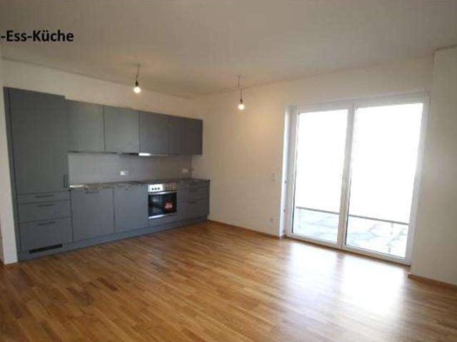 Apartment mieten in Rapperswinkel, Haid