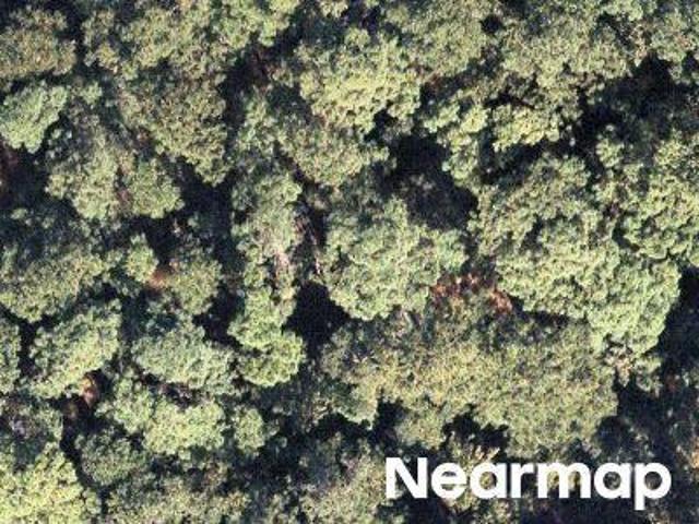 Land for sale in South Carolina