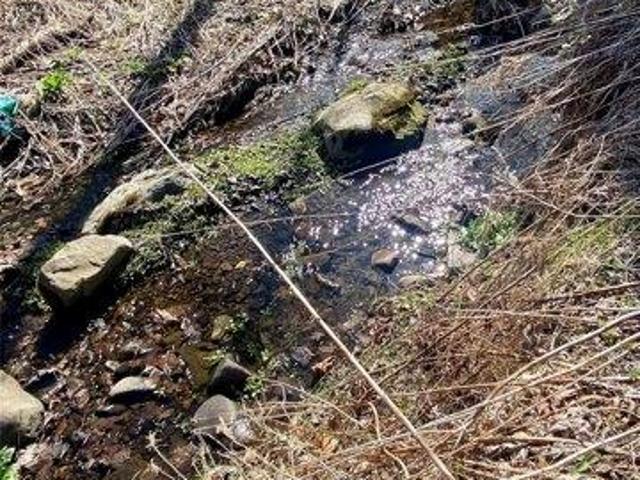 Land for sale in East Jewett, New York