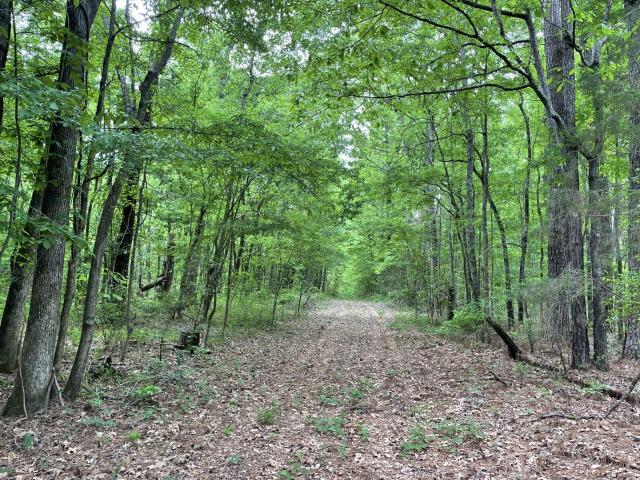 Land for sale in Columbus, Mississippi