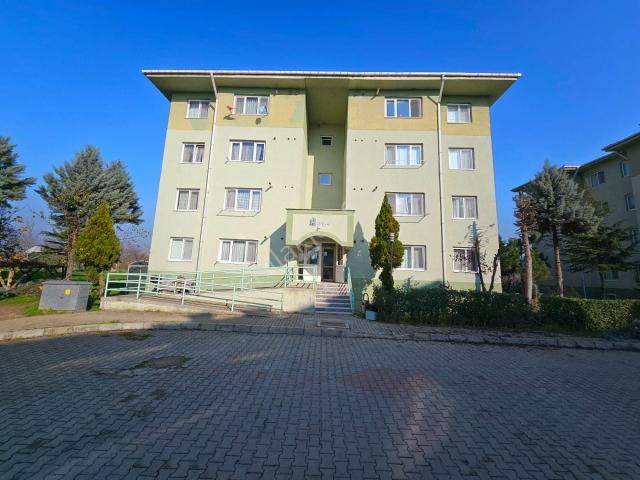 Düzce Merkez, Düzce içerisinde satılık mülk