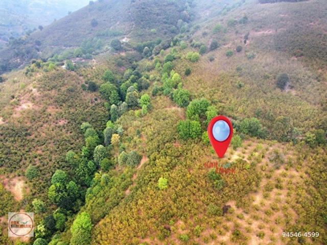 Aybaşı, Düzce Merkez içerisinde satılık mülk