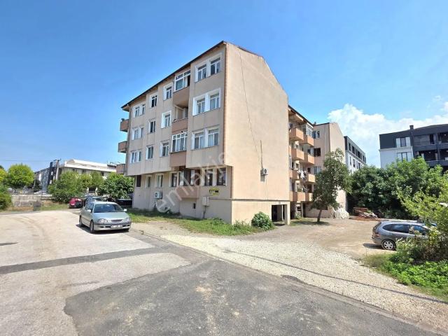Düzce Merkez, Düzce içerisinde satılık mülk