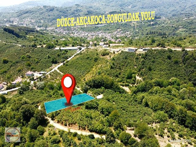 Yayla, Düzce Merkez içerisinde satılık Arsa