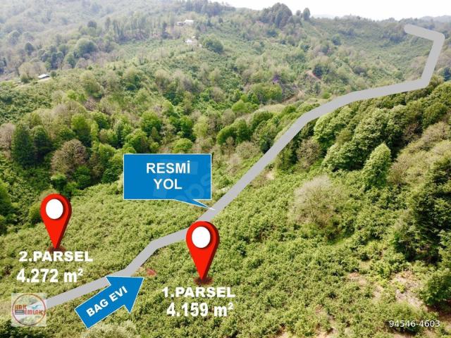 Deredibi, Akçakoca içerisinde satılık mülk