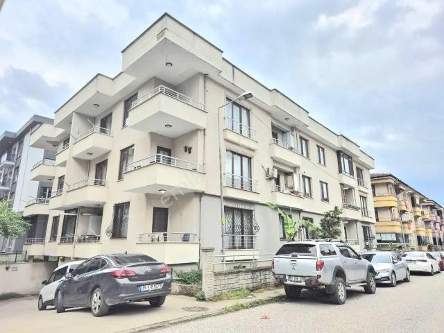 Düzce Merkez, Düzce içerisinde kiralık mülk
