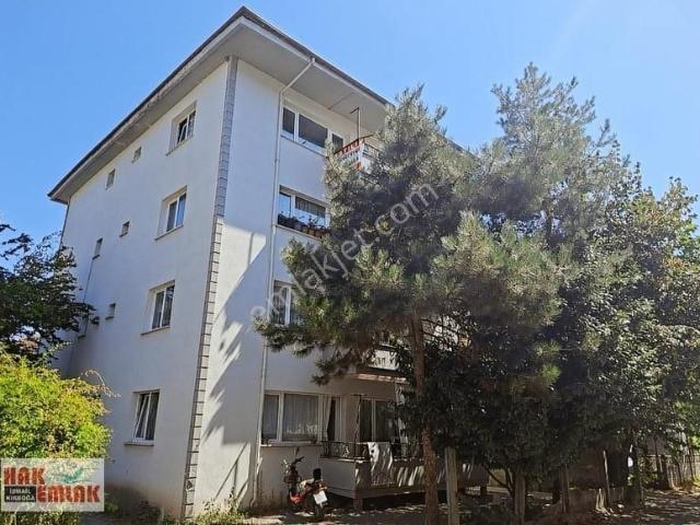 Düzce Merkez, Düzce içerisinde kiralık mülk