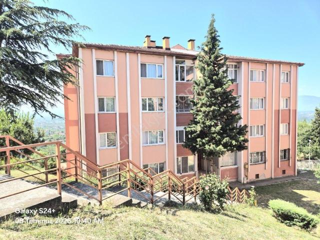 Düzce Merkez, Düzce içerisinde kiralık mülk