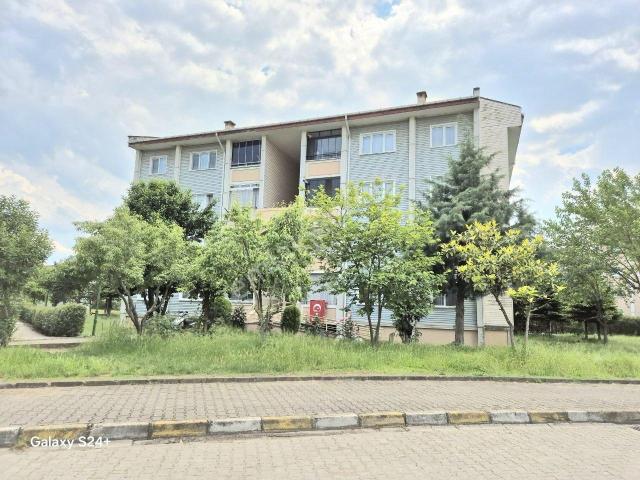 Düzce Merkez, Düzce içerisinde kiralık mülk