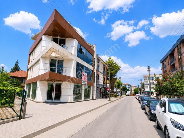 Düzce Merkez, Düzce içerisinde satılık Bina