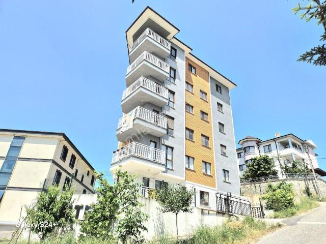 Düzce Merkez, Düzce içerisinde kiralık mülk