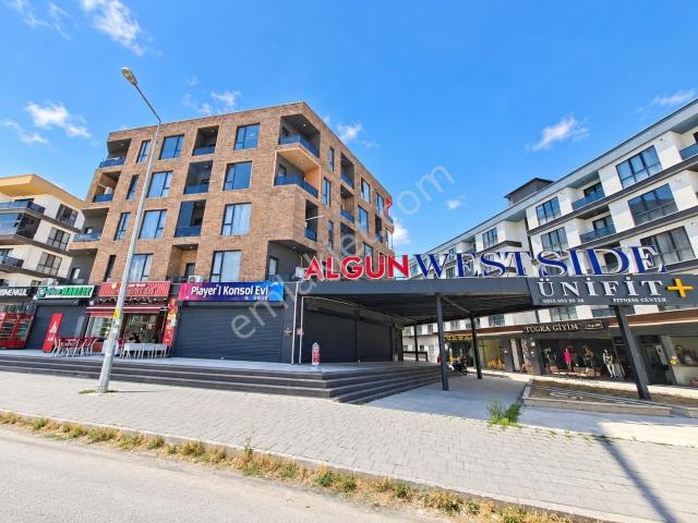 Düzce Merkez, Düzce içerisinde satılık mülk