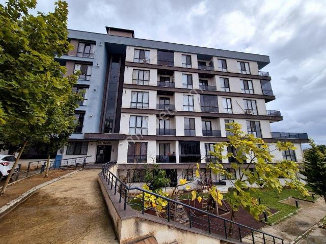Düzce Merkez, Düzce içerisinde satılık mülk