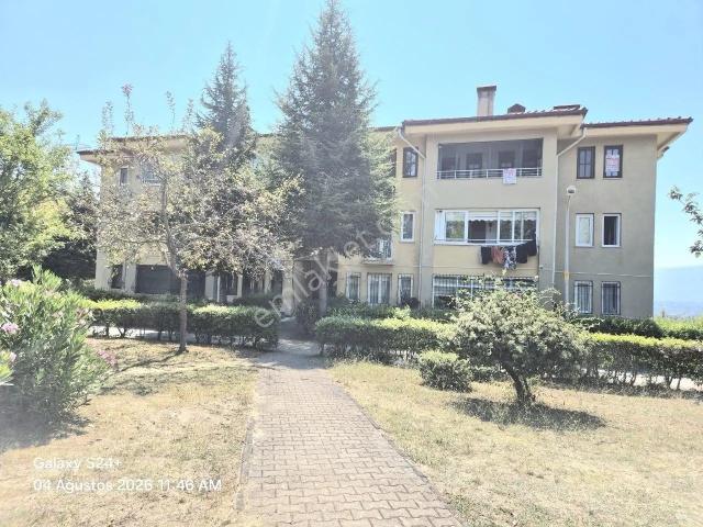 Düzce Merkez, Düzce içerisinde kiralık mülk