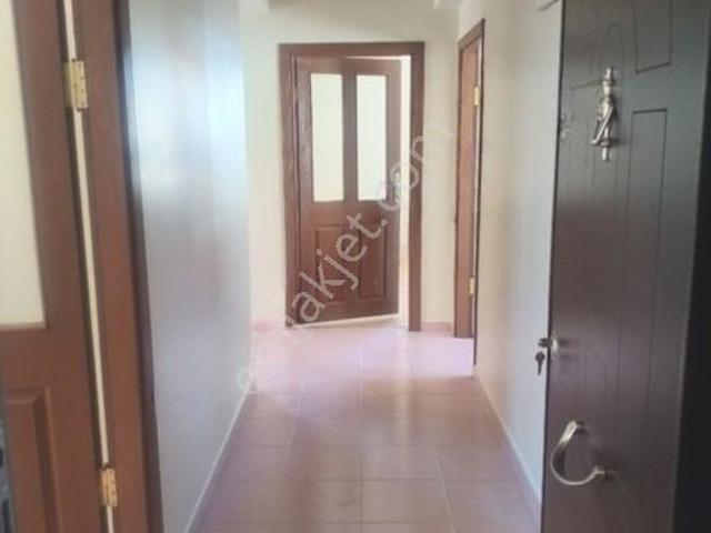 Çorum Merkez, Çorum içerisinde kiralık mülk