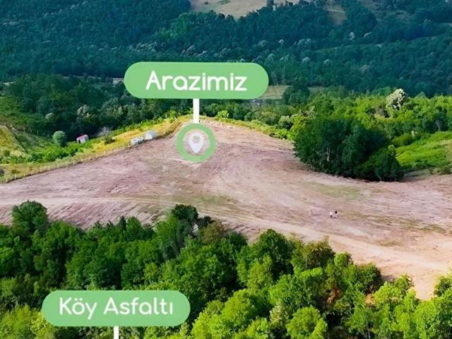 Kurtköy Köyü, Yalova Merkez içerisinde satılık mülk