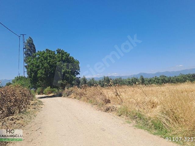 Kızıklı, Burhaniye içerisinde satılık Arsa
