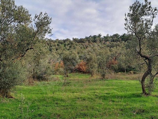 Kocadağ, Havran içerisinde satılık mülk
