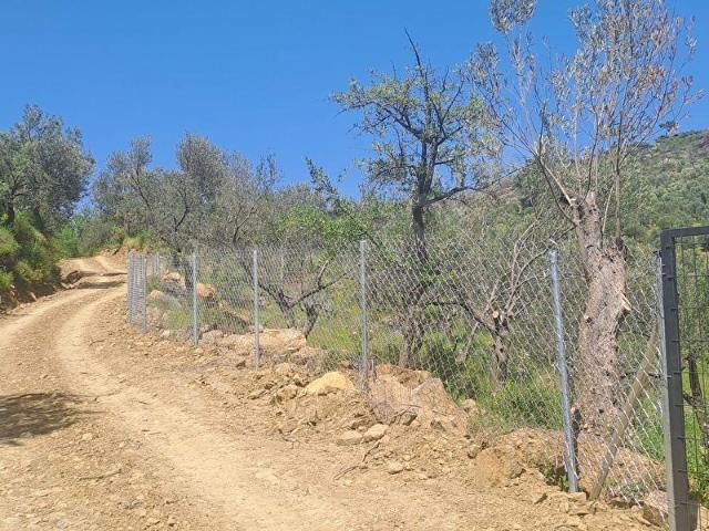 Havran, Balikesir içerisinde satılık mülk